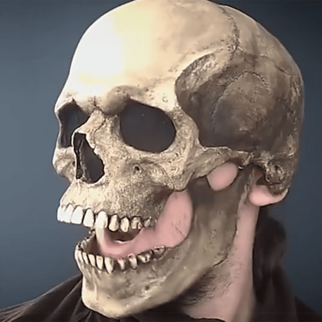 Mascara Calavera de Cabeza Completa Con Mandíbula Móvil| Disfraz de Halloween para hombres y mujeres